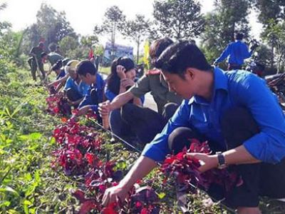 Bài viết Đoàn thể 3